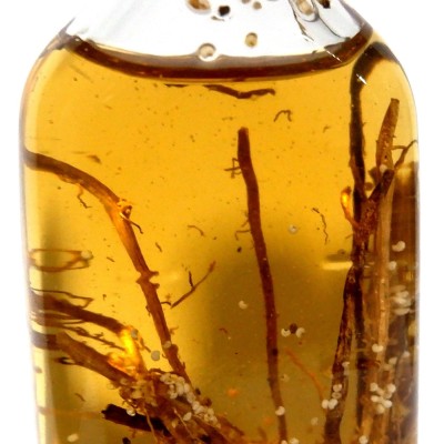 Optimus leech OIL for LONG BIG STRONG  & hair care,hair growth,leech 