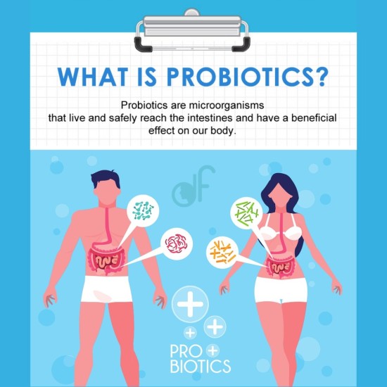 Korean Super Pre Probiotics Original 2gx30sticks For 1month