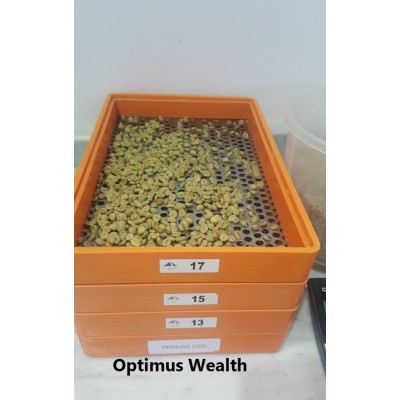   5 KG Unroasted Arabica Mocha Green Coffee Beans Malaysia