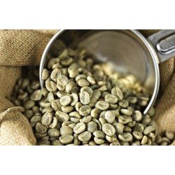   5 KG Unroasted Arabica Mocha Green Coffee Beans STRONG distinctive wholesale 