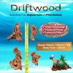 5Pcs driftwood for aquarium or air plant  plantation (Wood for aquarium  tree) Fish Tank Habitat Decor Wood
