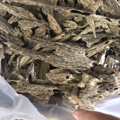 Natural Wild From Oud Wood Vietnam | Pure Material Grade A Minimum Quantity Is (100g)